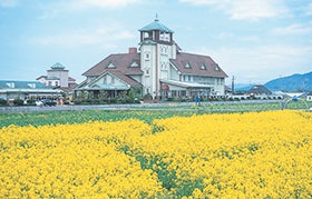 福崎 加西 社発
№1837 ゆったりーなミステリー3